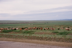 108_D243_firstKm