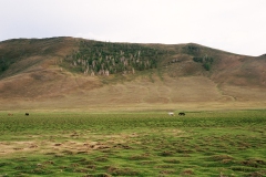 126_D270_huegelwiese