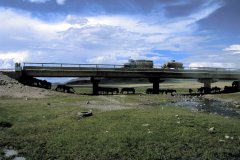 144_015_0153_PferdeUnterBruecke