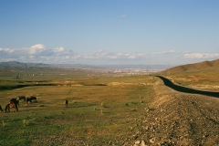 167_D363_zuruecknachUB