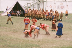 170_D371_ringer_ringen