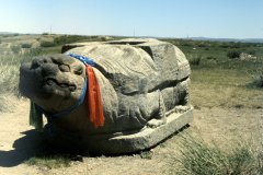 186_IMG0016_Schildkroete